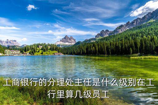 銀行分理處值班經(jīng)理是什么職位，工商銀行的分理處主任是什么級別在工行里算幾級員工