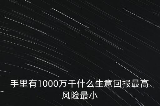 1000萬投資什么生意，手里有1000萬干什么生意回報(bào)最高風(fēng)險(xiǎn)最小
