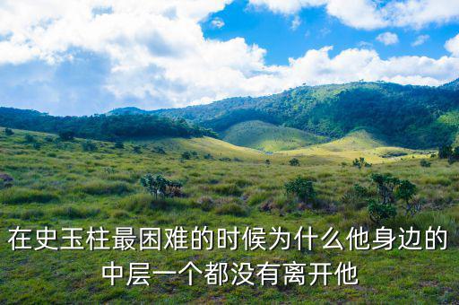 史玉柱為什么辭職，巨人史玉柱破產(chǎn)的原因是什么