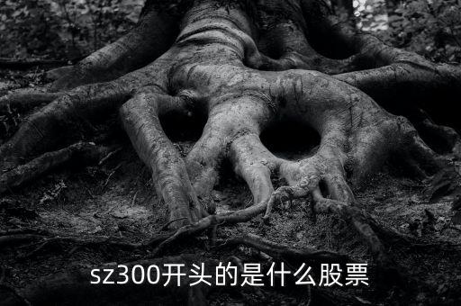sz開頭的是什么股票，sz300開頭的是什么股票