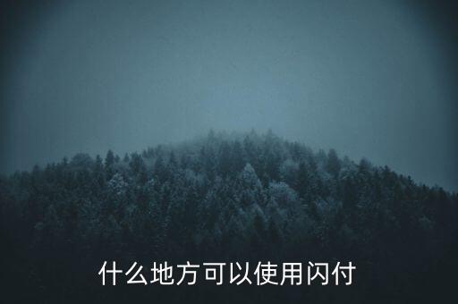 濟(jì)南什么地方支持閃付，濟(jì)南那個超市pos機(jī)有閃付