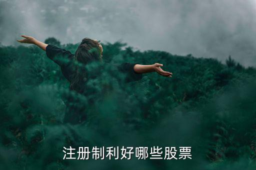 什么股票注冊制，IPO注冊制是什么意思