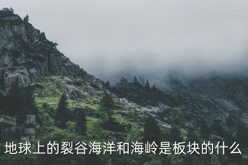 誠(chéng)益通屬于什么板塊，地球上的裂谷海洋和海嶺是板塊的什么