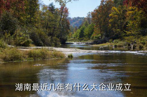 湘鐵集團什么時候成立子公司，母公司設(shè)立子公司