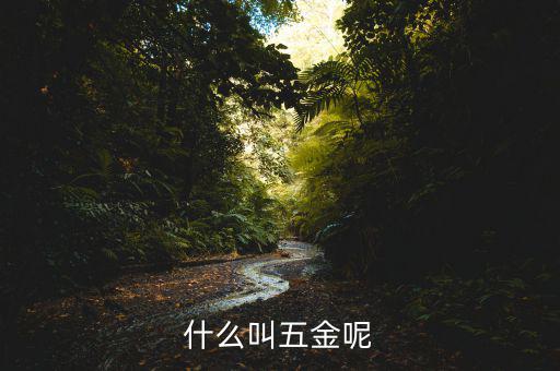 什么叫一市五金多套餐，知不知道招聘里說(shuō)的 五金齊全是指什么