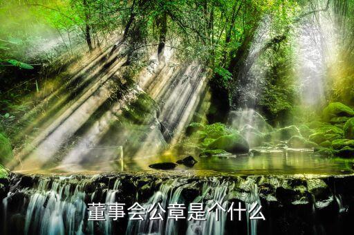 什么是董事會印章，完美國際魔方董事會印章有什么用