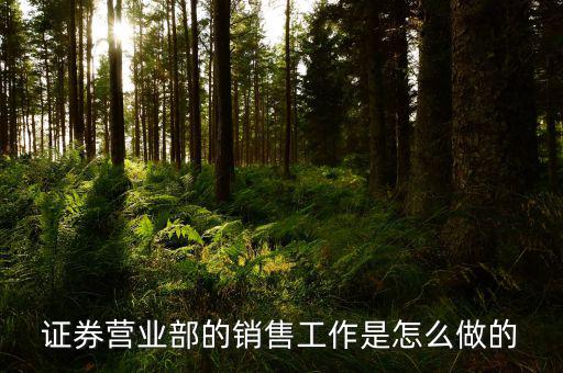券商機構(gòu)銷售做什么，證券營業(yè)部的銷售做什么說簡單點