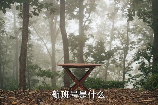 航班號ms什么，MS是什么航空