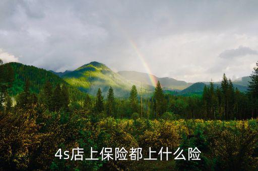 4s店買(mǎi)車(chē)都保什么險(xiǎn)，誰(shuí)能告訴我在4s店買(mǎi)的四大險(xiǎn)都包括哪些