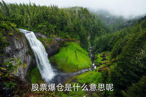 股票爆倉(cāng)是什么意思，股市中的爆倉(cāng)是什么意思