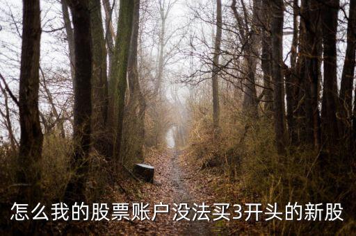 怎么我的股票賬戶沒(méi)法買3開(kāi)頭的新股