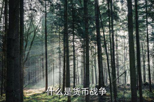 貨幣戰(zhàn)爭講的是什么，什么是貨幣戰(zhàn)爭