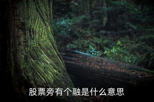 融買融賣是什么意思，股票旁有個(gè)融是什么意思