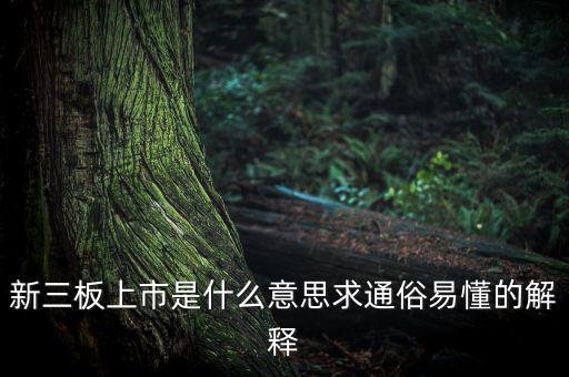 什么是新三板上市，新三板上市是什么意思求通俗易懂的解釋
