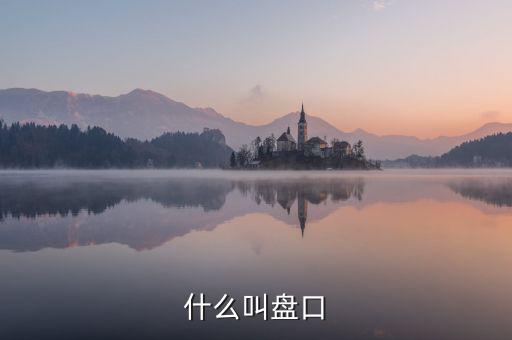 大盤口什么意思，大盤中的盤口是什么意思啊