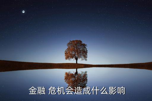  金融 危機(jī)會造成什么影響