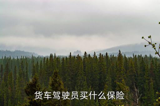 貨車司機(jī)買什么保險(xiǎn)好，大貨車買什么保險(xiǎn)最好