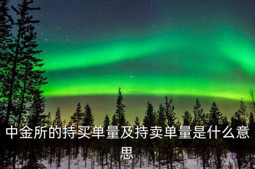 持買單量是什么意思，持賣單什么意思