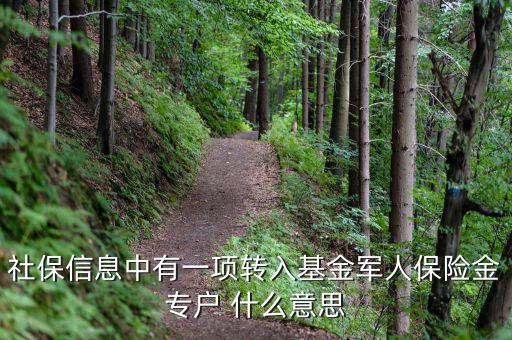 什么是社保轉(zhuǎn)入基金，請問一下社保綜合中轉(zhuǎn)入基金是什么呢不明白里面的基金是怎么回事