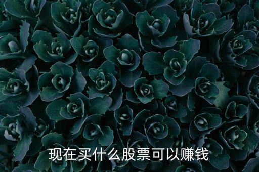 今年買什么股票可以賺錢，現(xiàn)在買什么股票可以賺錢