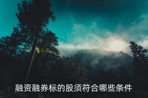 融資融券的股票具備什么條件，證券公司申請融資融券應當具備哪些條件
