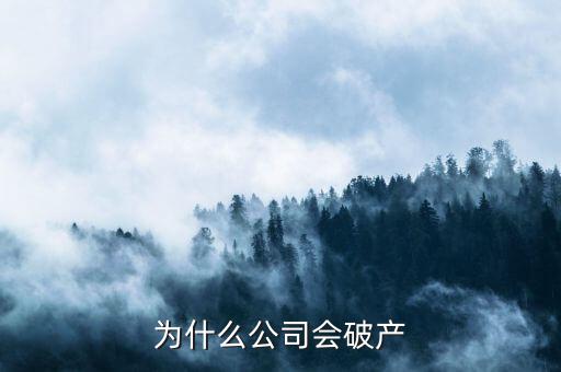 凱銀集團(tuán)為什么破產(chǎn)了，公司破產(chǎn)的原因是什么