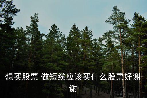 短線買什么股票好，散戶短線買哪些股票好