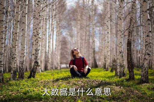 大數(shù)據(jù)什么意思，簡(jiǎn)述什么是大數(shù)據(jù)