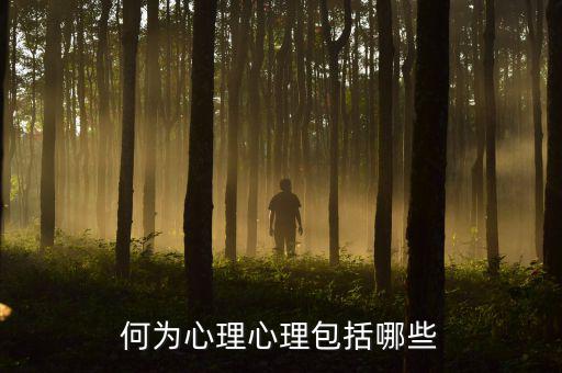 什么是心理層面，人的心理境界分幾個層次