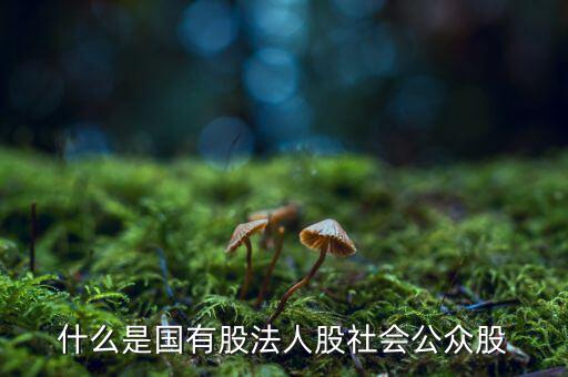 什么情況叫公眾持股，股份制上市企業(yè)誰能幫我解釋一下它是公企還是私企