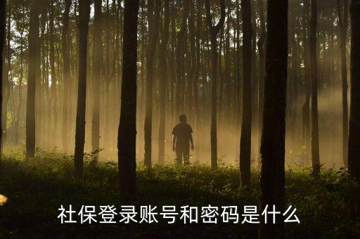 社保查詢個(gè)人賬戶密碼是什么，社保登錄賬號和密碼是什么