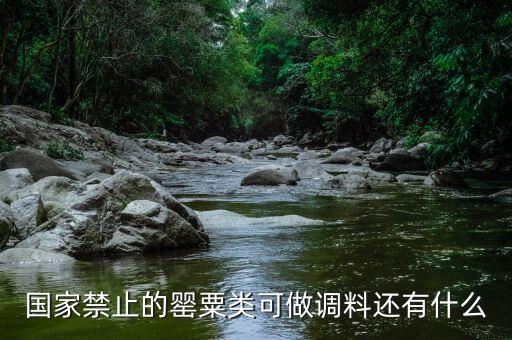 國家違禁香料有什么，國家禁止的罌粟類可做調(diào)料還有什么