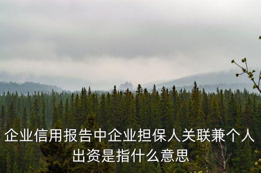 擔保人關聯(lián)是什么意思，企業(yè)征信中 擔保人關聯(lián)是什么意思