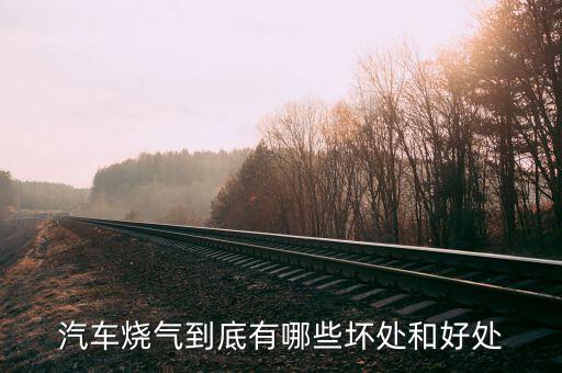 汽車(chē)燒氣有什么壞處，汽車(chē)改氣好處多還是壞處多