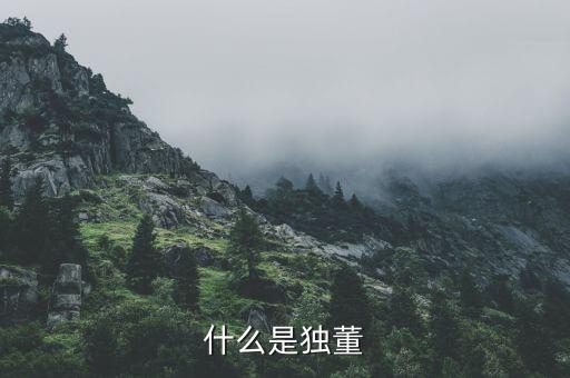 什么是官員獨董，懂事和獨立董事有什么區(qū)別都起有什么作用