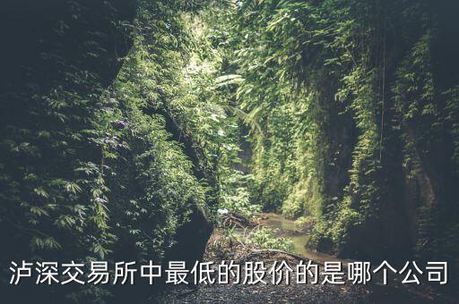 瀘a最便宜的股是什么股，A股最便宜的股票是什么股