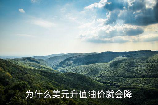 美國(guó)油價(jià)為什么跌，美國(guó)原油價(jià)格為什么會(huì)從100多美元跌到43美元并且分析以后的趨勢(shì)