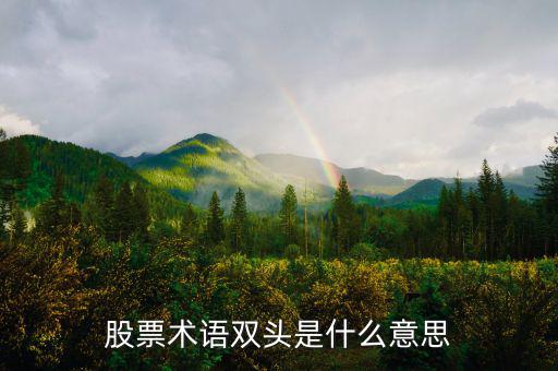 什么是大盤做雙頭，股票術(shù)語雙頭是什么意思