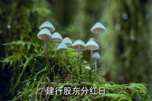建設(shè)銀行什么時(shí)候分紅，601939 建設(shè)銀行什么時(shí)候分紅