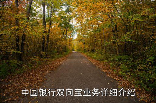 中行雙向?qū)毷鞘裁?，中國銀行雙向?qū)殬I(yè)務(wù)詳細(xì)介紹