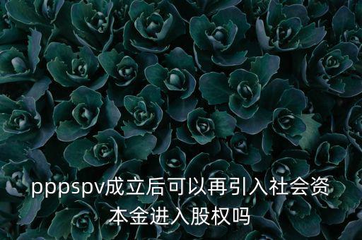 spv公司是什么意思，spv公司是獨(dú)立法人
