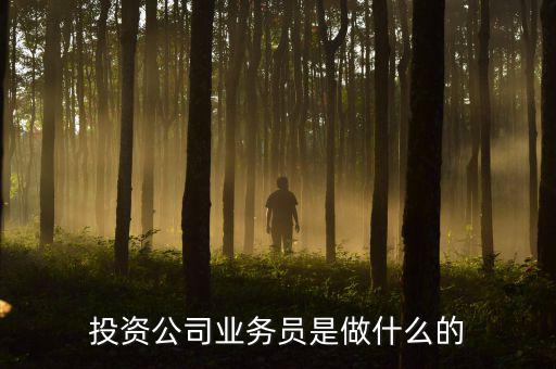 投資公司業(yè)務(wù)員是做什么的，投資公司業(yè)務(wù)員是做什么的