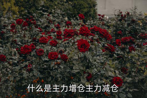 主力增減倉什么意思，什么是主力增倉主力減倉