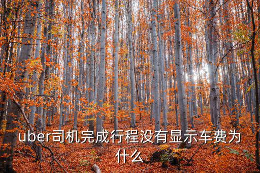 uber為什么不顯示價(jià)格，優(yōu)步叫車前看不到價(jià)格