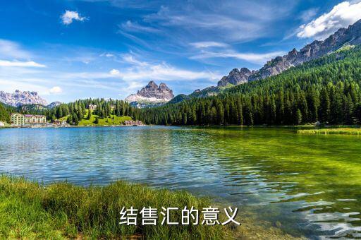 為什么外匯結(jié)匯，結(jié)售匯的意義