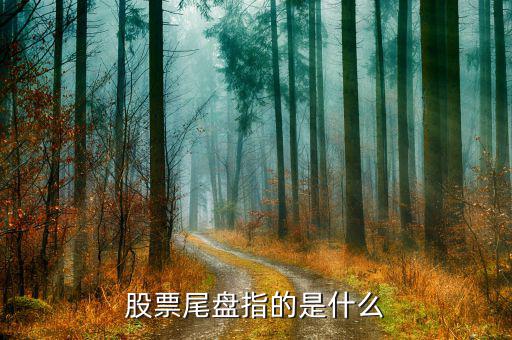 股票尾盤(pán)指的是什么