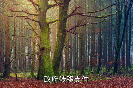 為什么政府提供實(shí)物轉(zhuǎn)移支付，一個(gè)國(guó)家為什么要執(zhí)行轉(zhuǎn)移支付制度