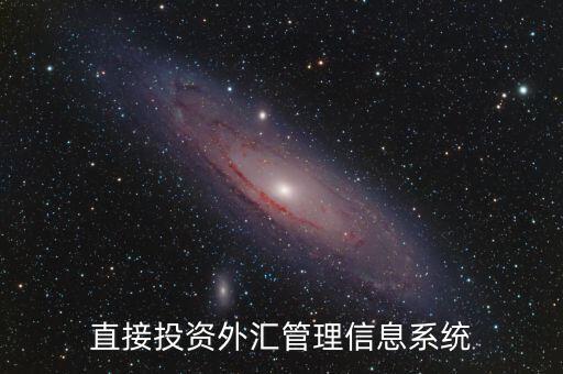 外資上什么傳到外管局應(yīng)用平臺(tái)，直接投資外匯管理信息系統(tǒng)