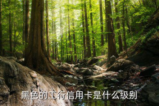 工商銀行的黑卡有什么權(quán)限，工行是不是出了一款運(yùn)通黑卡啊我想問的是想申請(qǐng)運(yùn)通黑卡要在當(dāng)?shù)?/></a></span><span id=