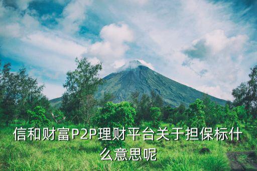 信和財富P2P理財平臺關(guān)于擔(dān)保標什么意思呢